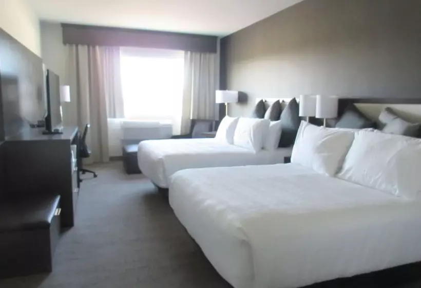 ホテル Best Western Plus Morden