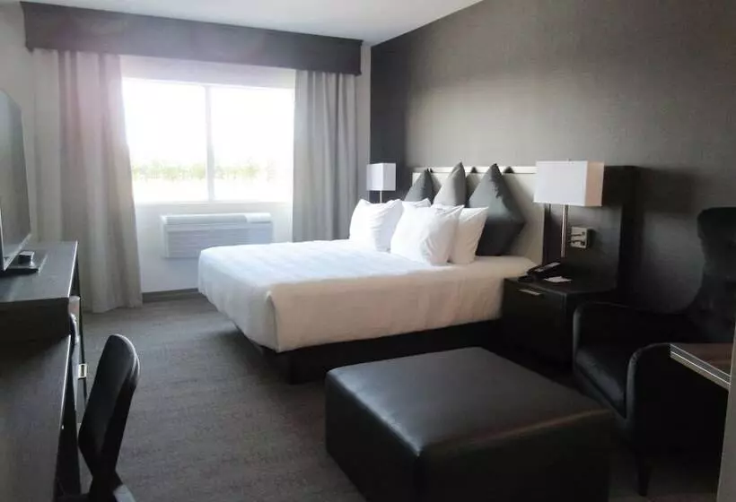 ホテル Best Western Plus Morden