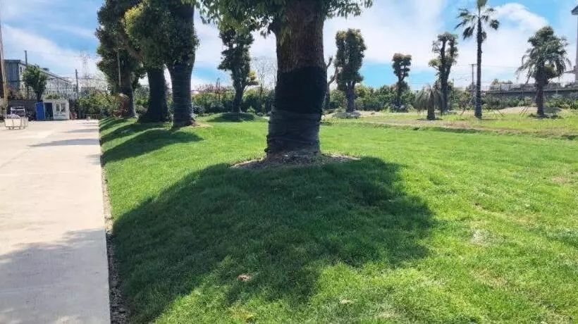 S·dor Hotel Hangzhou Xiaoshan Intertational Airport