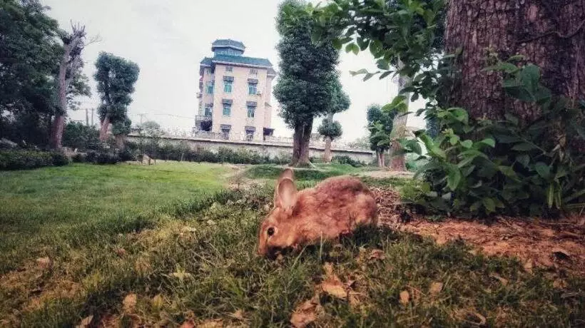 S·dor Hotel Hangzhou Xiaoshan Intertational Airport