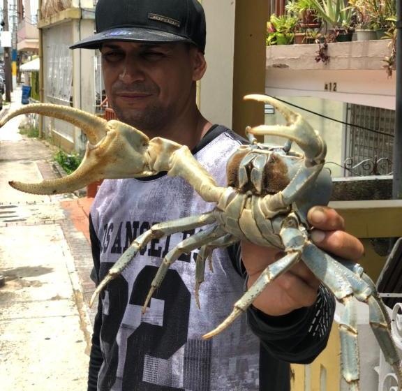 پانسیون Surfer's Hidden Gem By The Sea