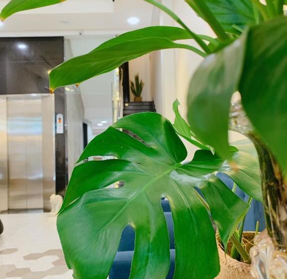 تختخواب و صبحانه Cozy Private Home @ Hcm D.5