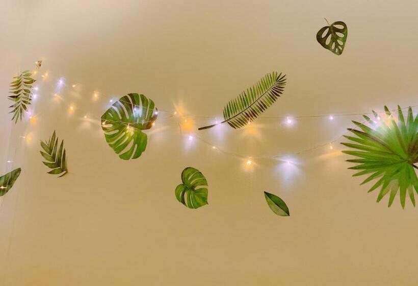 تختخواب و صبحانه Cozy Private Home @ Hcm D.5