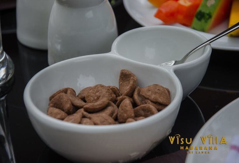 פנסיון Visu Villa