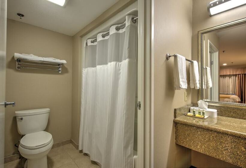 فندق Burbank Inn And Suites