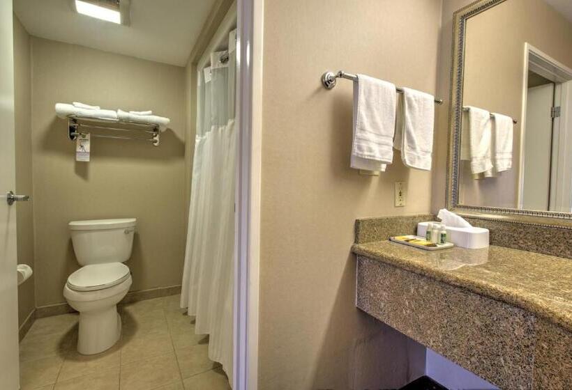 فندق Burbank Inn And Suites