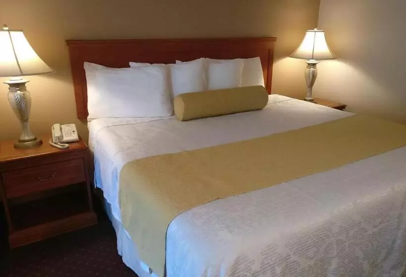 Szálloda Burbank Inn And Suites