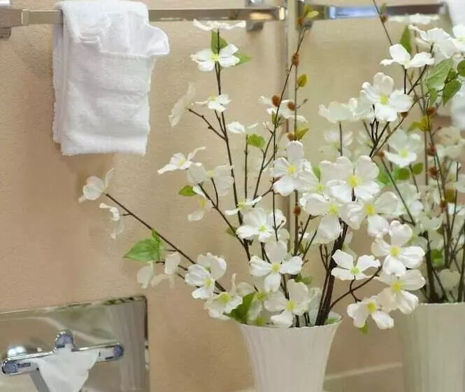 酒店 Calipatria Inn And Suites