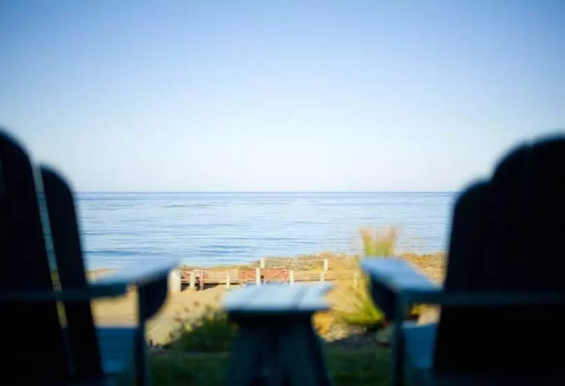 酒店 Cambria Shores Inn