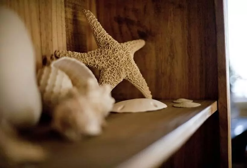 酒店 Cambria Shores Inn