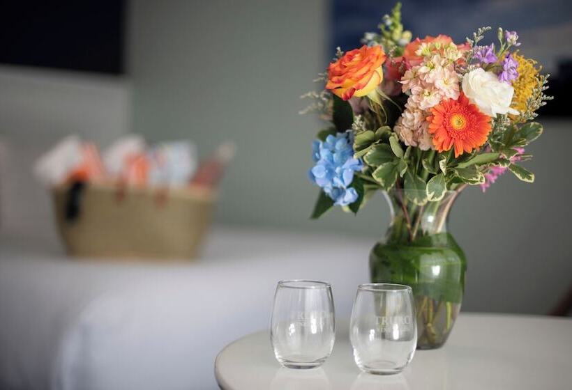 هتل Cape Colony Inn