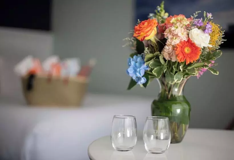 Отель Cape Colony Inn