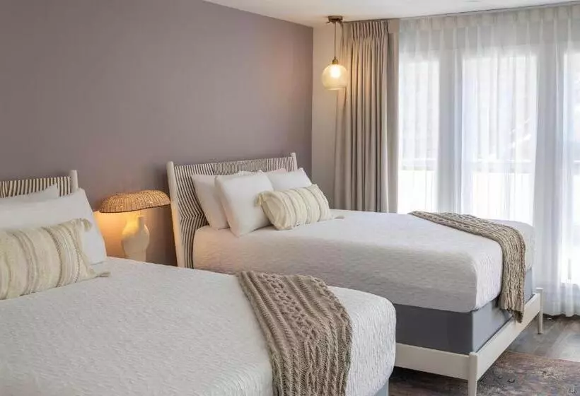 בית מלון כפרי Cardiff By The Sea Lodge