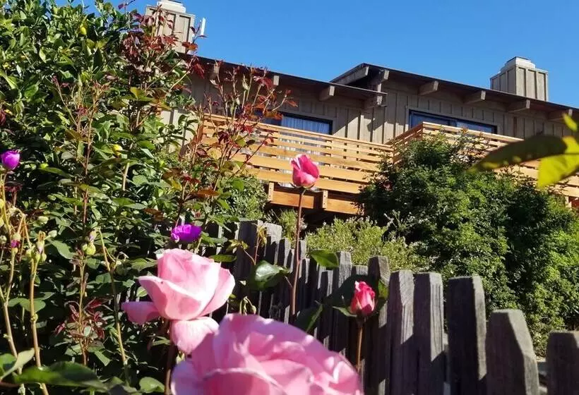 酒店 Carmel Valley Lodge