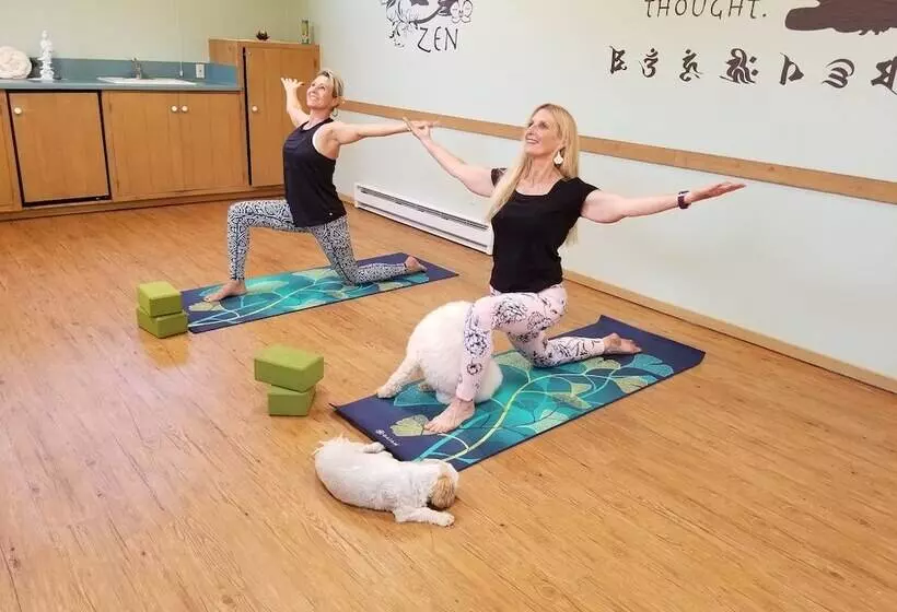 酒店 Carmel Valley Lodge