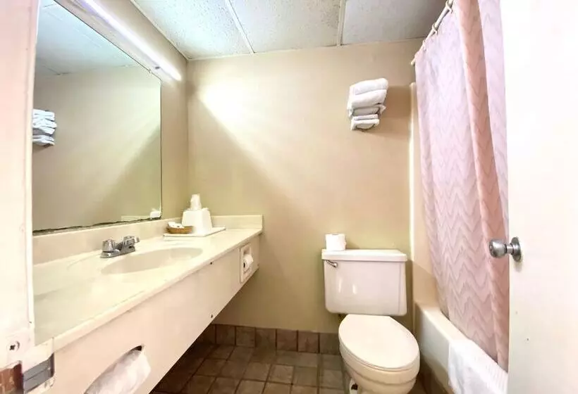 ホテル Economy Inn