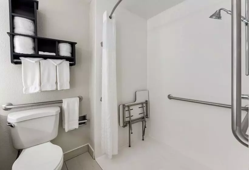 酒店 Holiday Inn Express Columbus Downtown, An Ihg