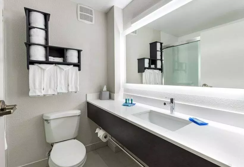 酒店 Holiday Inn Express Columbus Downtown, An Ihg