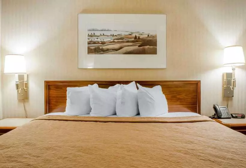 Отель Quality Inn & Suites