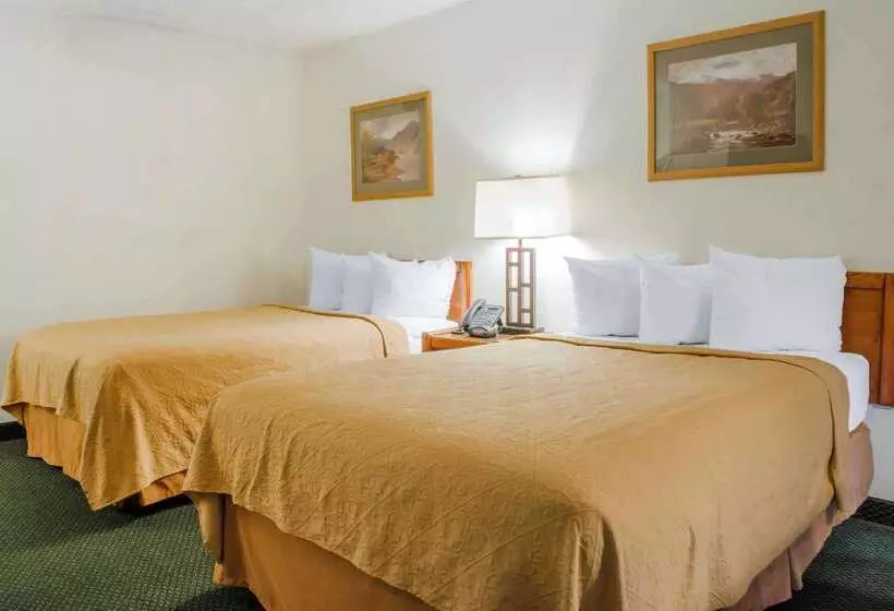 Отель Quality Inn & Suites