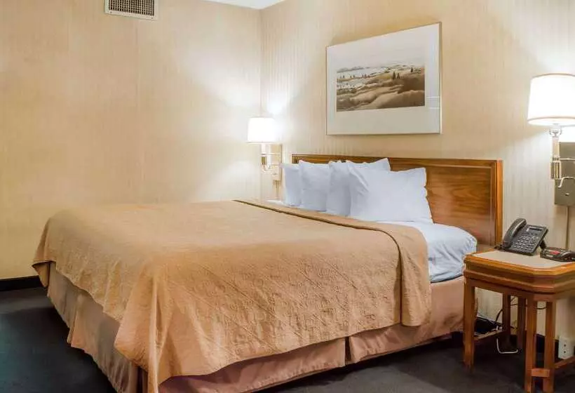 Отель Quality Inn & Suites