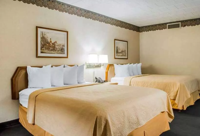 Отель Quality Inn & Suites