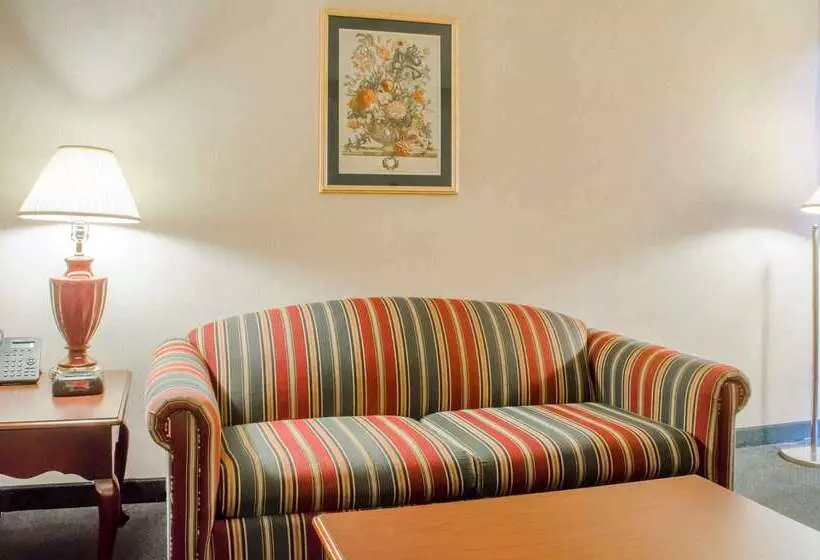 Отель Quality Inn & Suites