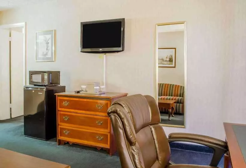 Отель Quality Inn & Suites