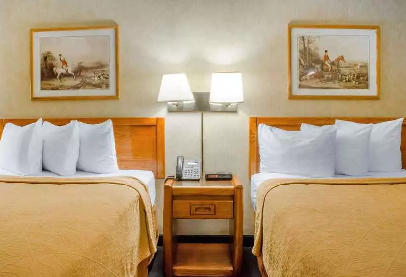Отель Quality Inn & Suites