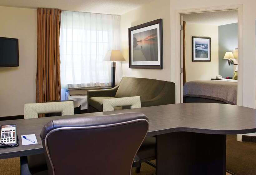 ホテル Sonesta Simply Suites Clearwater