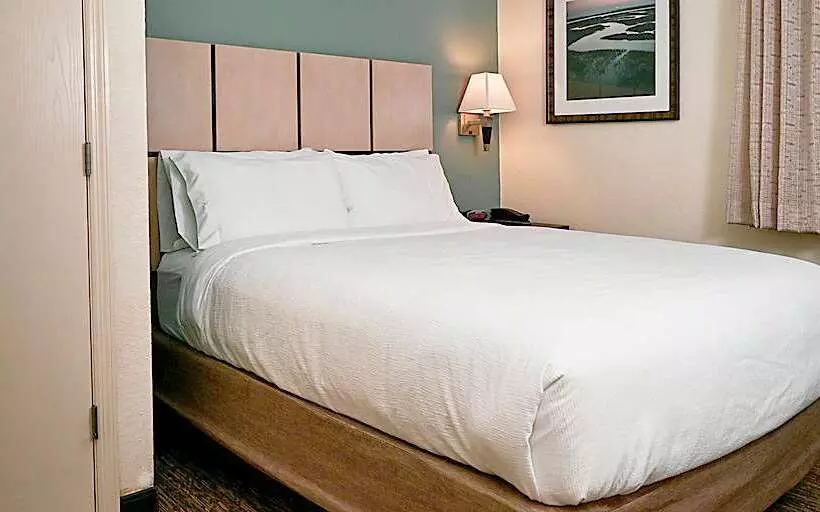 酒店 Sonesta Simply Suites Clearwater