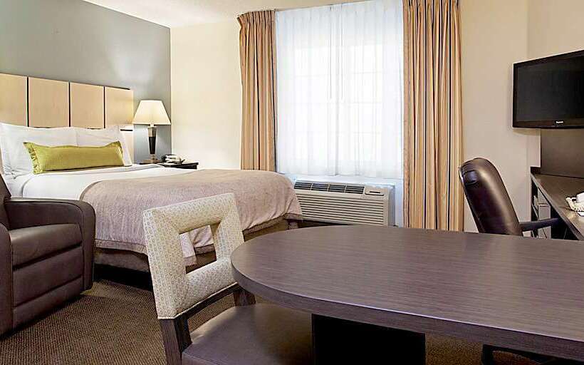 ホテル Sonesta Simply Suites Clearwater