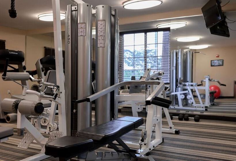 ホテル Sonesta Simply Suites Clearwater