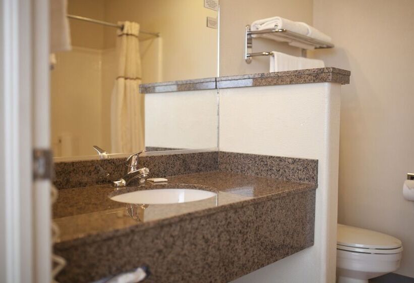 فندق St. George Inn And Suites