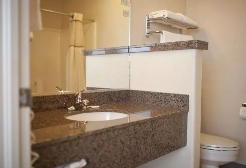 Отель St. George Inn And Suites