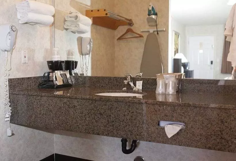 Отель St. George Inn And Suites