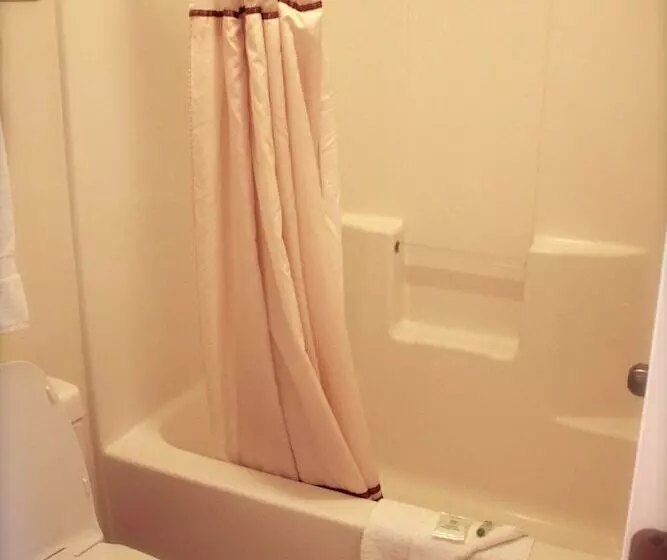 Отель St. George Inn And Suites