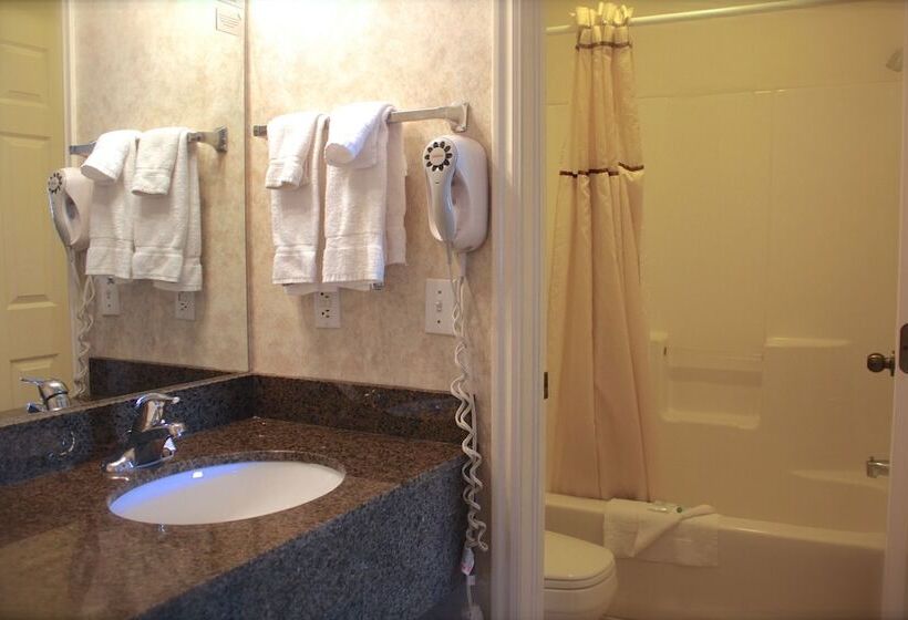 فندق St. George Inn And Suites