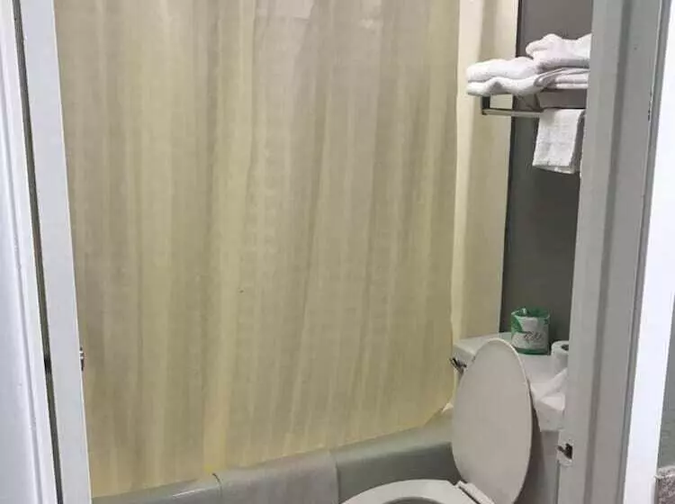 汽车旅馆 Express Inn Bay City