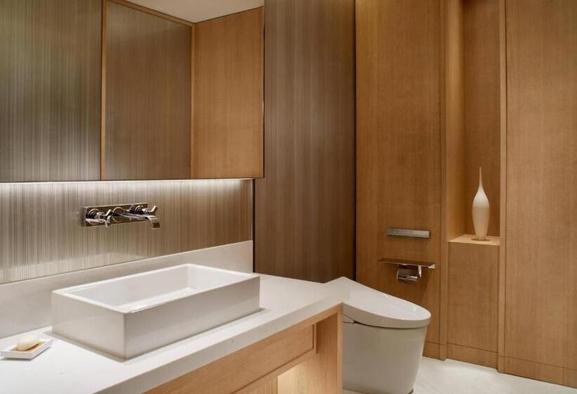 ホテル The Ritzcarlton, Xi An