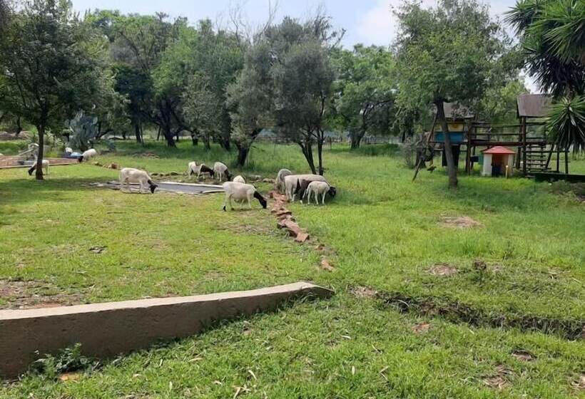 Pension Rocky Hollow Lodge