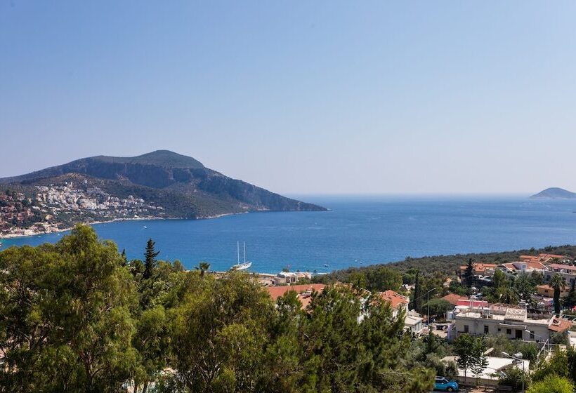 酒店 Mogons Exclusive