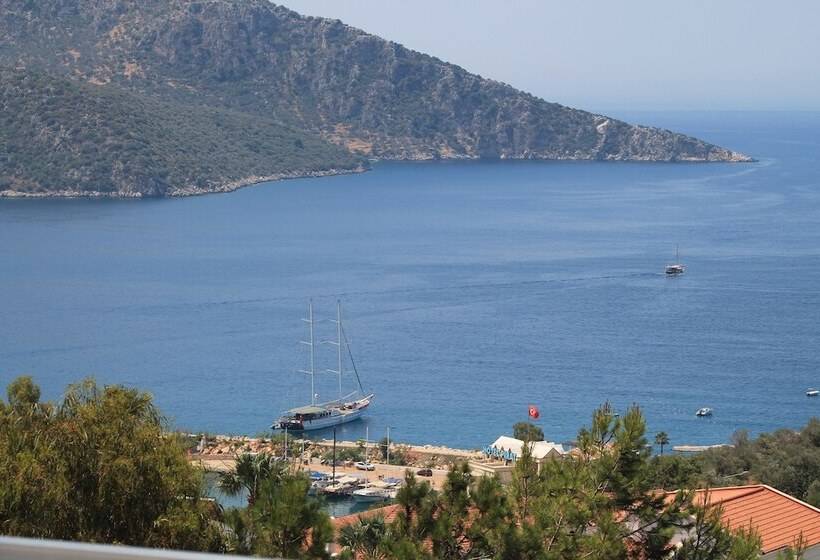 酒店 Mogons Exclusive