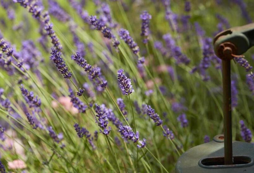 بنسيون Villa Grenzenlos