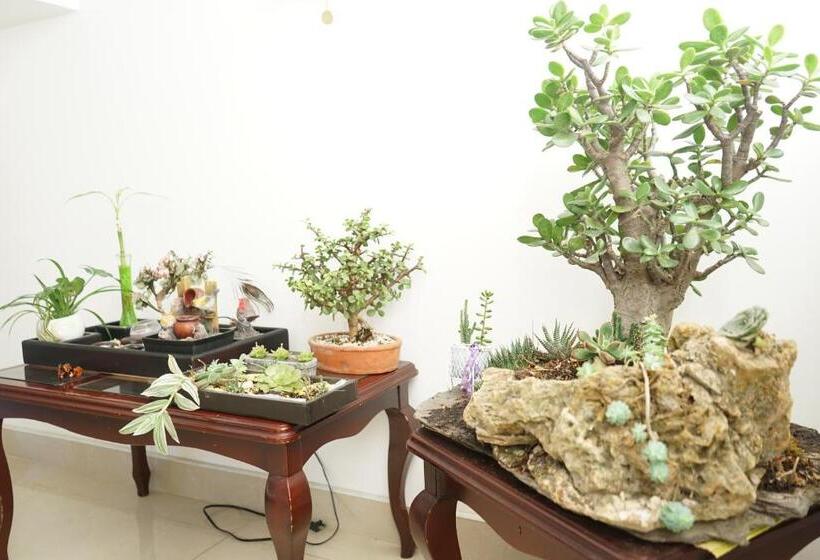 پانسیون Posada Ventura