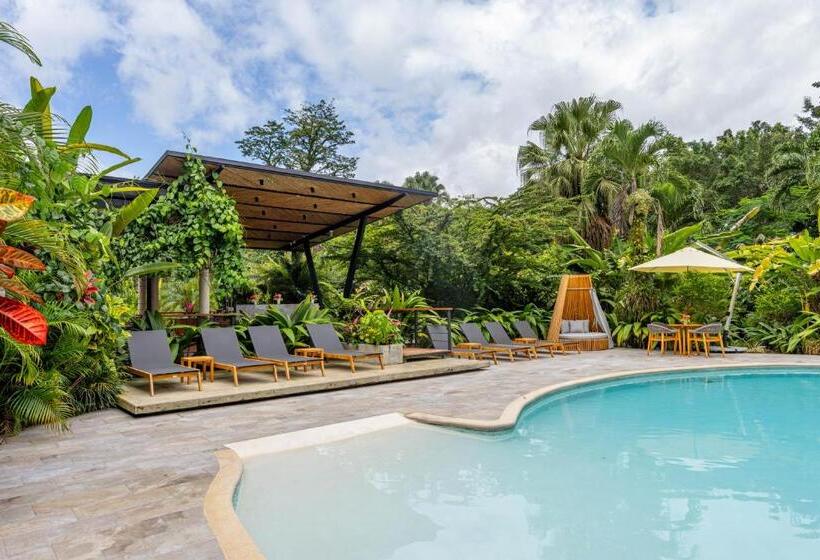 Noah S Forest Hotel By Tifakara