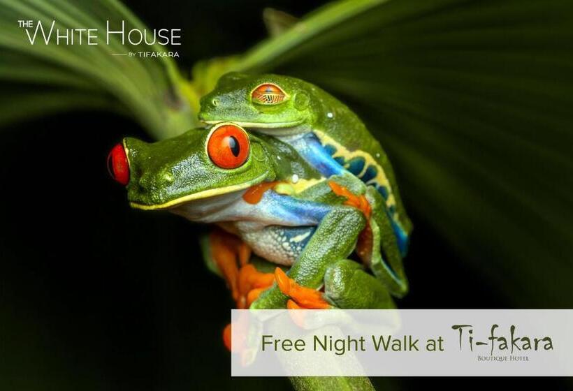 Noah S Forest Hotel By Tifakara