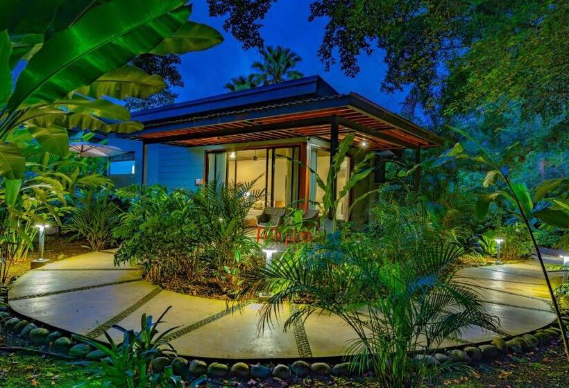 Noah S Forest Hotel By Tifakara