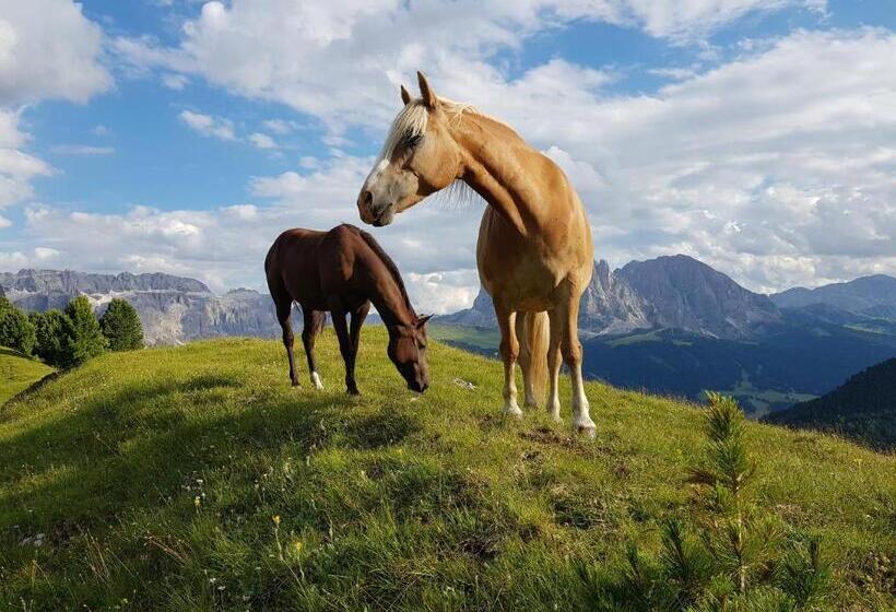 تختخواب و صبحانه Garni Vanadis