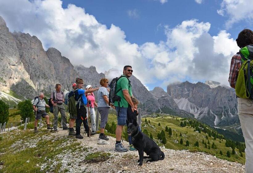 تختخواب و صبحانه Garni Vanadis